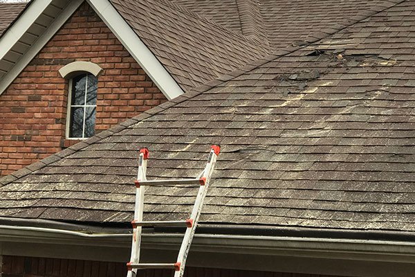 Roofing Maintenance Services